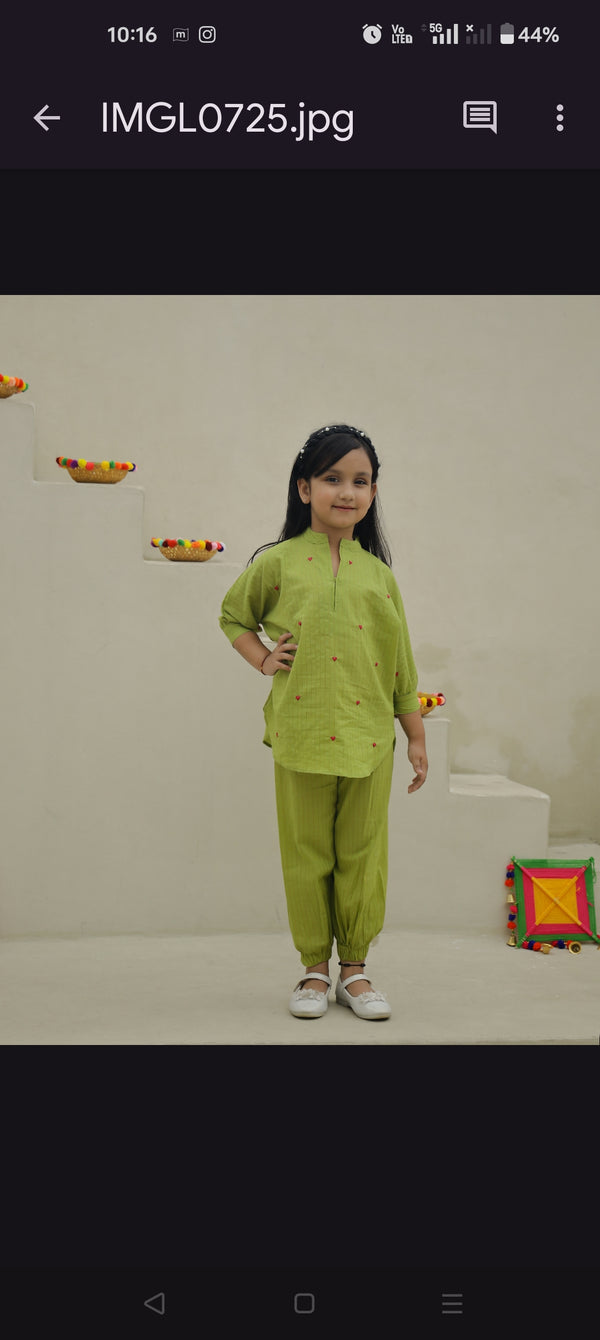 Green Hearts Embroidery Kurta Set