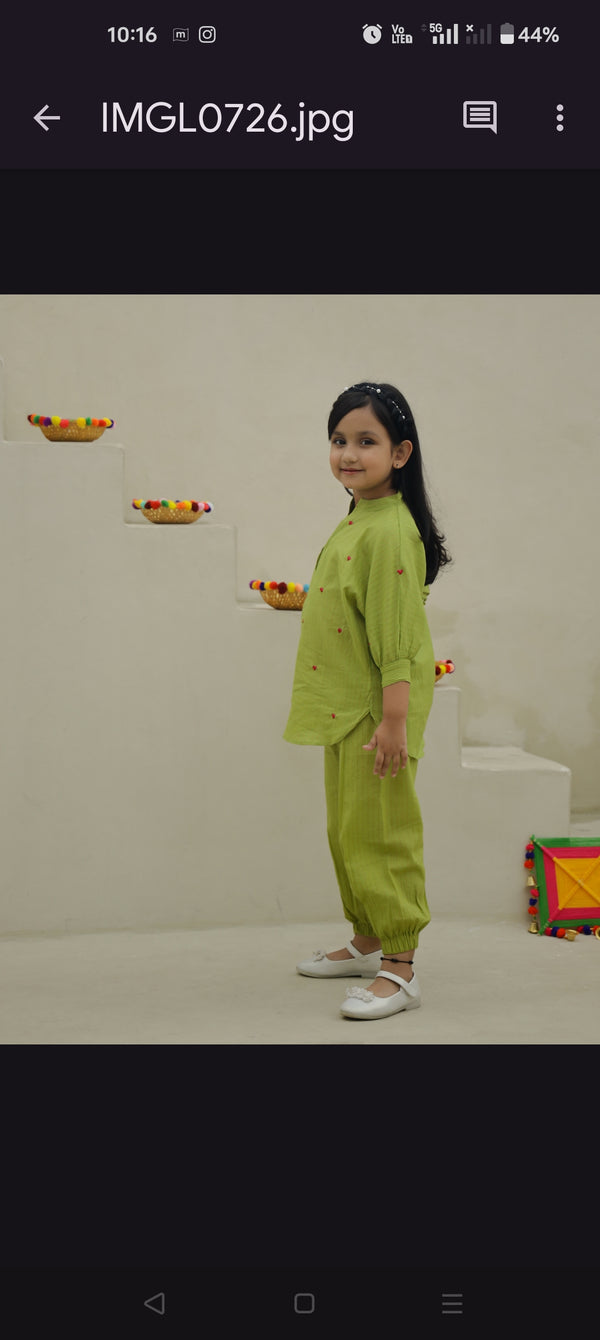 Green Hearts Embroidery Kurta Set