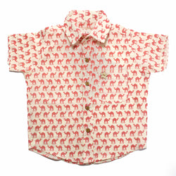 PINK CAMEL MODERN KIDS WEAR HALF SLEEVES COTTON SHIRT